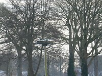P1000451