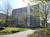 P1000557