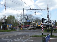 P1000558