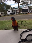 IMG_0815