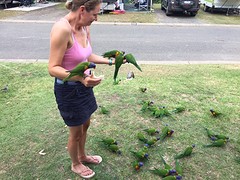 IMG_0817