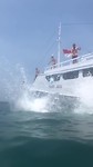 Springen vanaf de boot