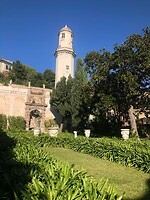 IMG_9800