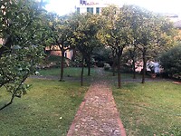 IMG_9811