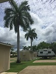 Op de nieuwe camping met de palmbomen