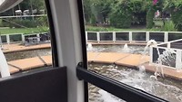 Wheel Brisbane