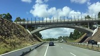 Filmpje van onderweg na Coffs Harbour