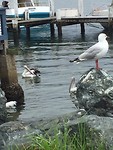 IMG_7540