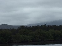 IMG_7556