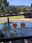 Ons balkon met uitzicht en links de boom met de koala