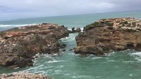 Port Macdonnell