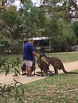IMG_8384