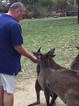 IMG_8385