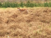 IMG_8397