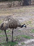 IMG_8317