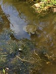 IMG_8318