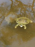 IMG_8319