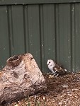 IMG_8328
