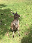 IMG_8353