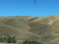 IMG_8433
