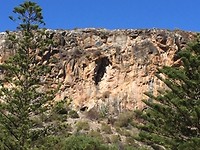 IMG_8435