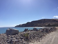 IMG_8436