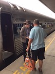IMG_8594