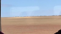 Droog en dor die outback