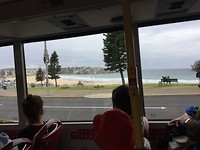 Bondi Beach