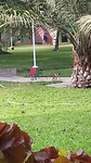 De apen voor de deur van de kamer