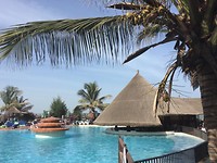 The pool
