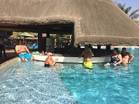 Cocktail pool bar