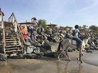 Paardrijden op het strand