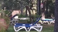 Aapjes aan het spelen