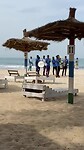 IMG_0781