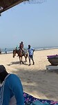 IMG_0963