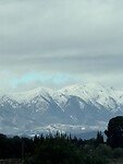 IMG_0433