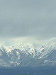 IMG_0431