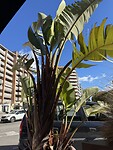IMG_0450