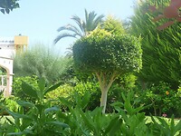 IMG_2817