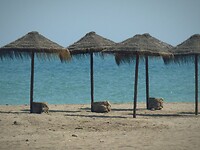 IMG_2821