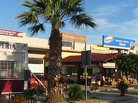 IMG_2823