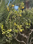 IMG_0513