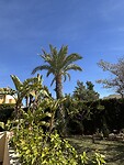 IMG_0515