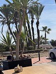 IMG_0577