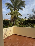 IMG_0596