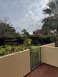 IMG_0597