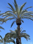 IMG_0653