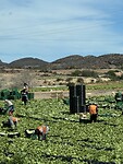 IMG_0694