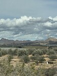 IMG_0698